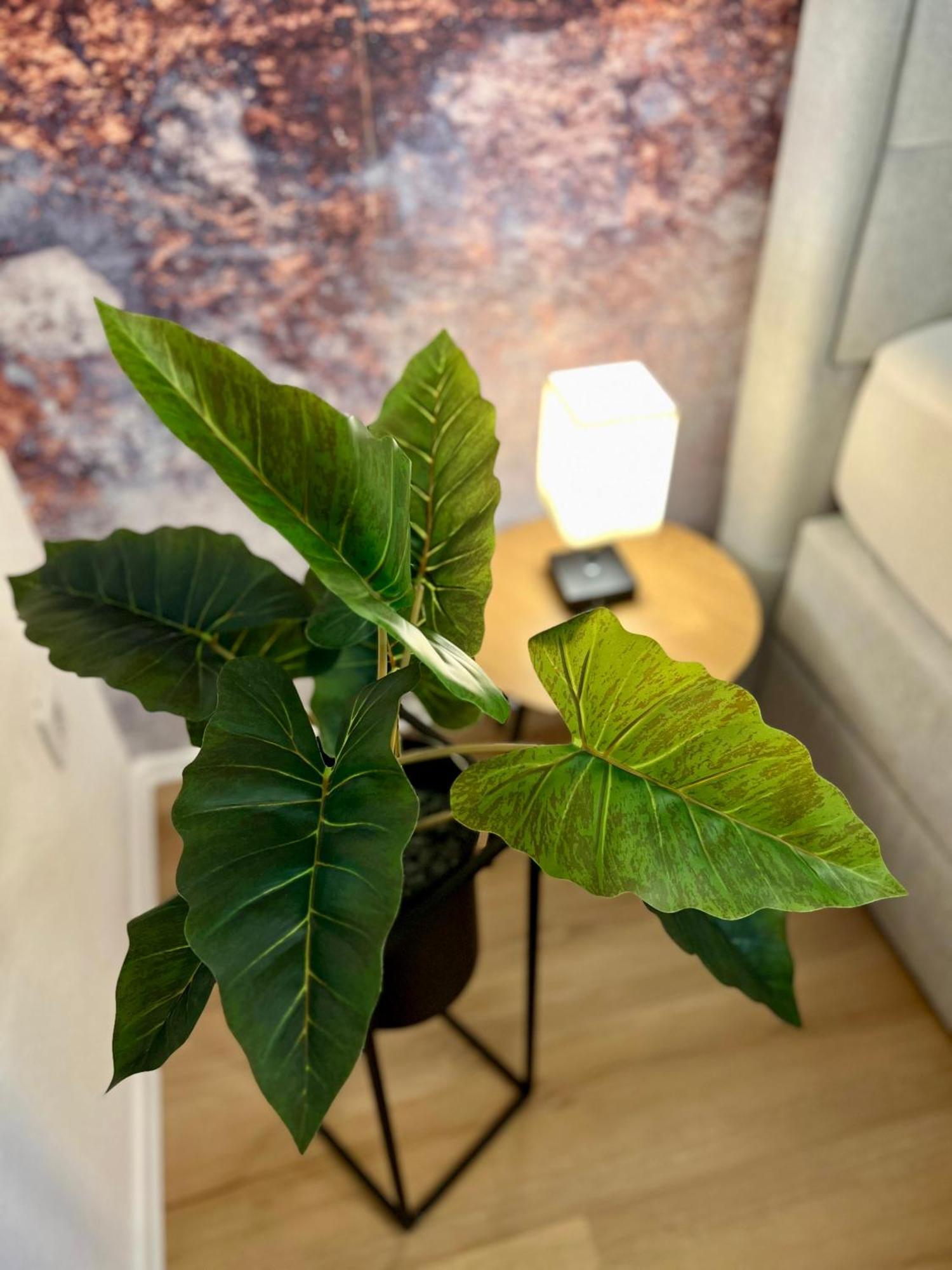 Main Cozy Casa Am Ringpark Free Parking Apartment Вюрцбург Екстериор снимка